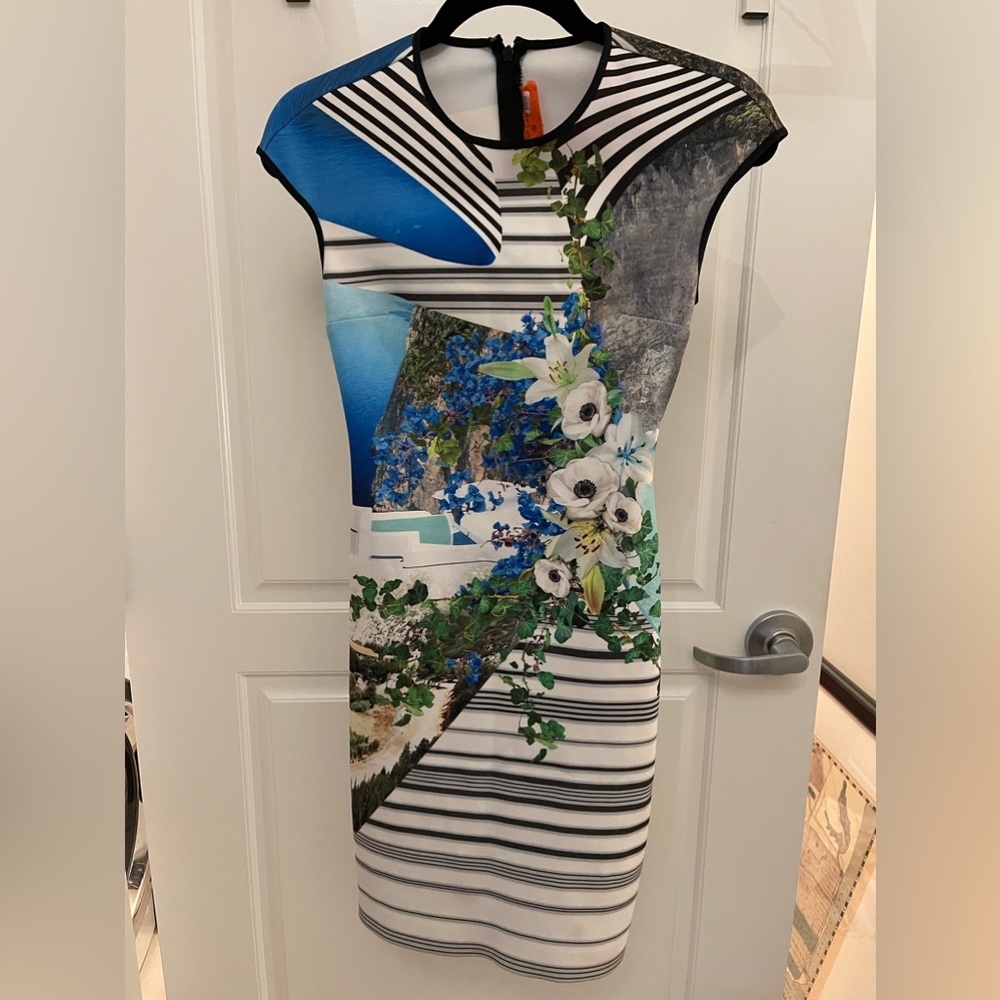 Clover Canyon Corfu cap sleeve neoprene dress - blue printed floral size small